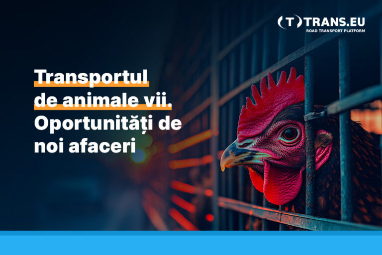 Transportul de animale vii. Oportunități de noi afaceri