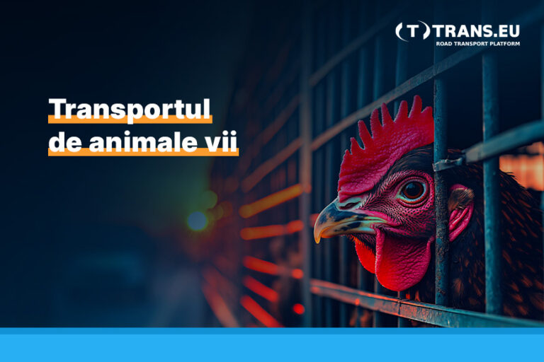 Transportul de animale vii